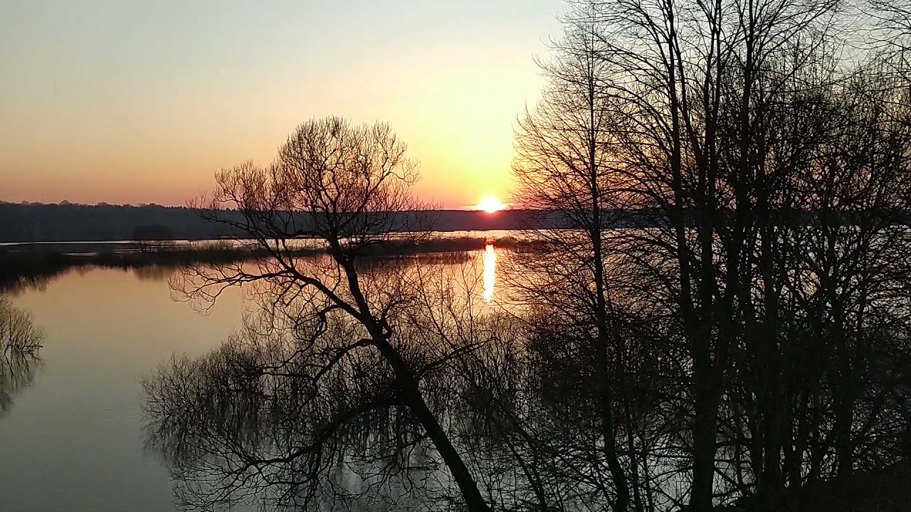 Озеро ореховое брянская область Озеро ореховое брянская область